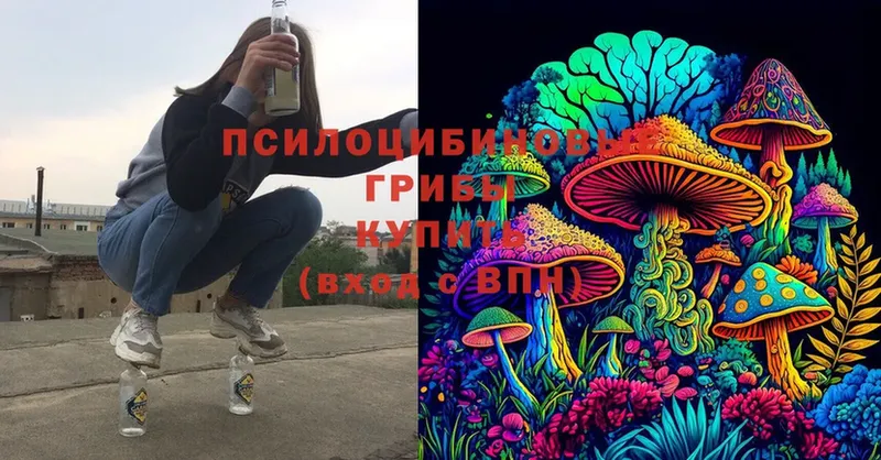 Псилоцибиновые грибы Magic Shrooms  дарнет шоп  Вольск 